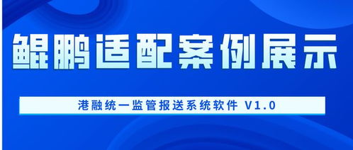 鲲鹏适配案例展示 港融统一监管报送系统软件 v1.0